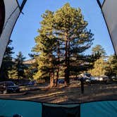 Review photo of Moraine Park Campground — Rocky Mountain National Park by Finn S., October 17, 2026