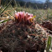 Review photo of Moraine Park Campground — Rocky Mountain National Park by Sarah S., April 15, 2026