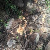 Review photo of Mountain Park by Yohan , September 3, 2026