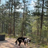 Review photo of Mountain Park by Priscilla  C., August 5, 2026