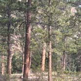 Review photo of Mountain Park by Priscilla  C., August 5, 2026