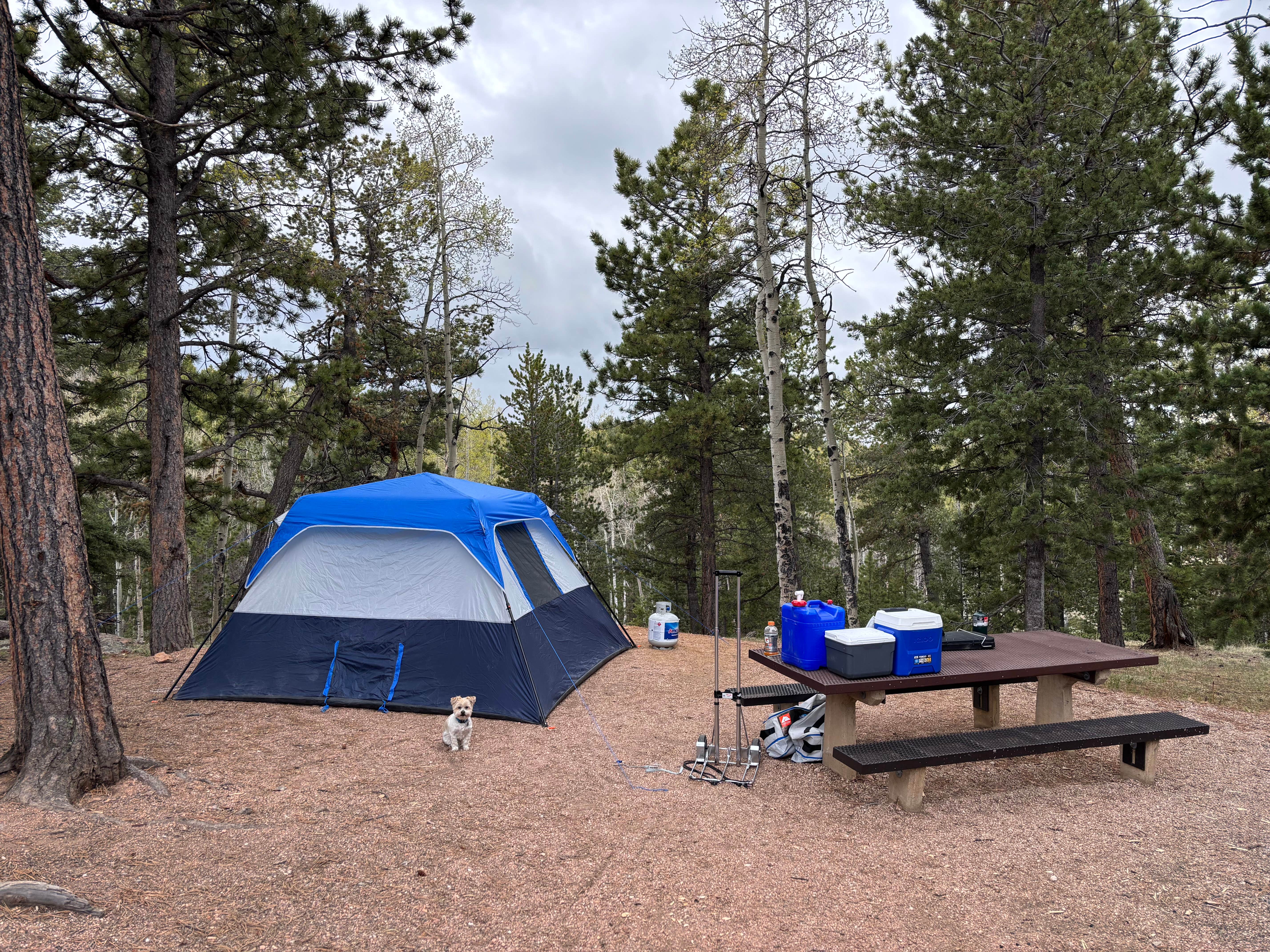 Bruce K.'s photo of camping with pets at Mueller State Park Campground near Pike and San Isabel National Forests and Cimarron and Comanche National Grasslands