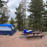 Review photo of Mueller State Park Campground by Bruce K., May 20, 2025