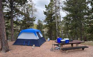 Bruce K.'s photo of camping with pets at Mueller State Park Campground near Green Mountain Falls, CO