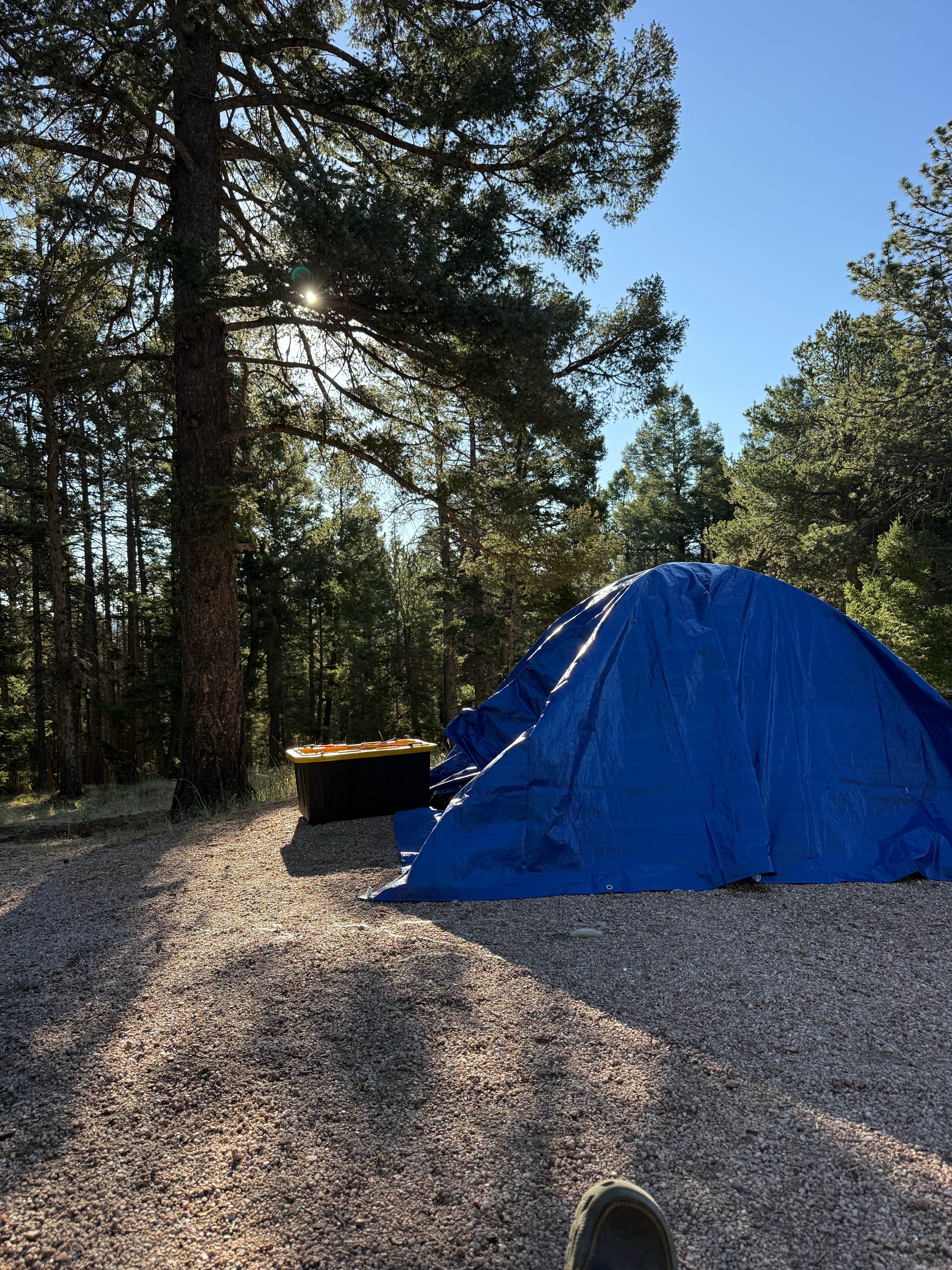 steve's photo at Mueller State Park Campground near Florissant, CO