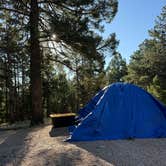 Review photo of Mueller State Park Campground by steve , July 30, 2026