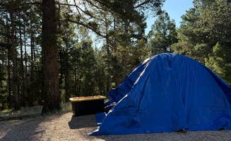 steve's photo at Mueller State Park Campground near Divide, CO