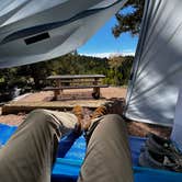 Review photo of Mueller State Park Campground by carson C., September 20, 2024