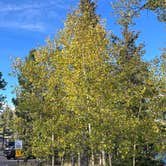Review photo of Mueller State Park Campground by Michael , September 19, 2023