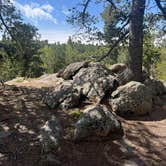 Review photo of Mueller State Park Campground by Carli W., July 15, 2026