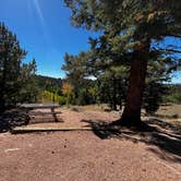 Review photo of Mueller State Park Campground by carson C., September 20, 2024