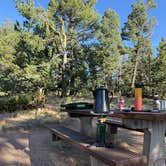 Review photo of Mueller State Park Campground by steve , July 30, 2026