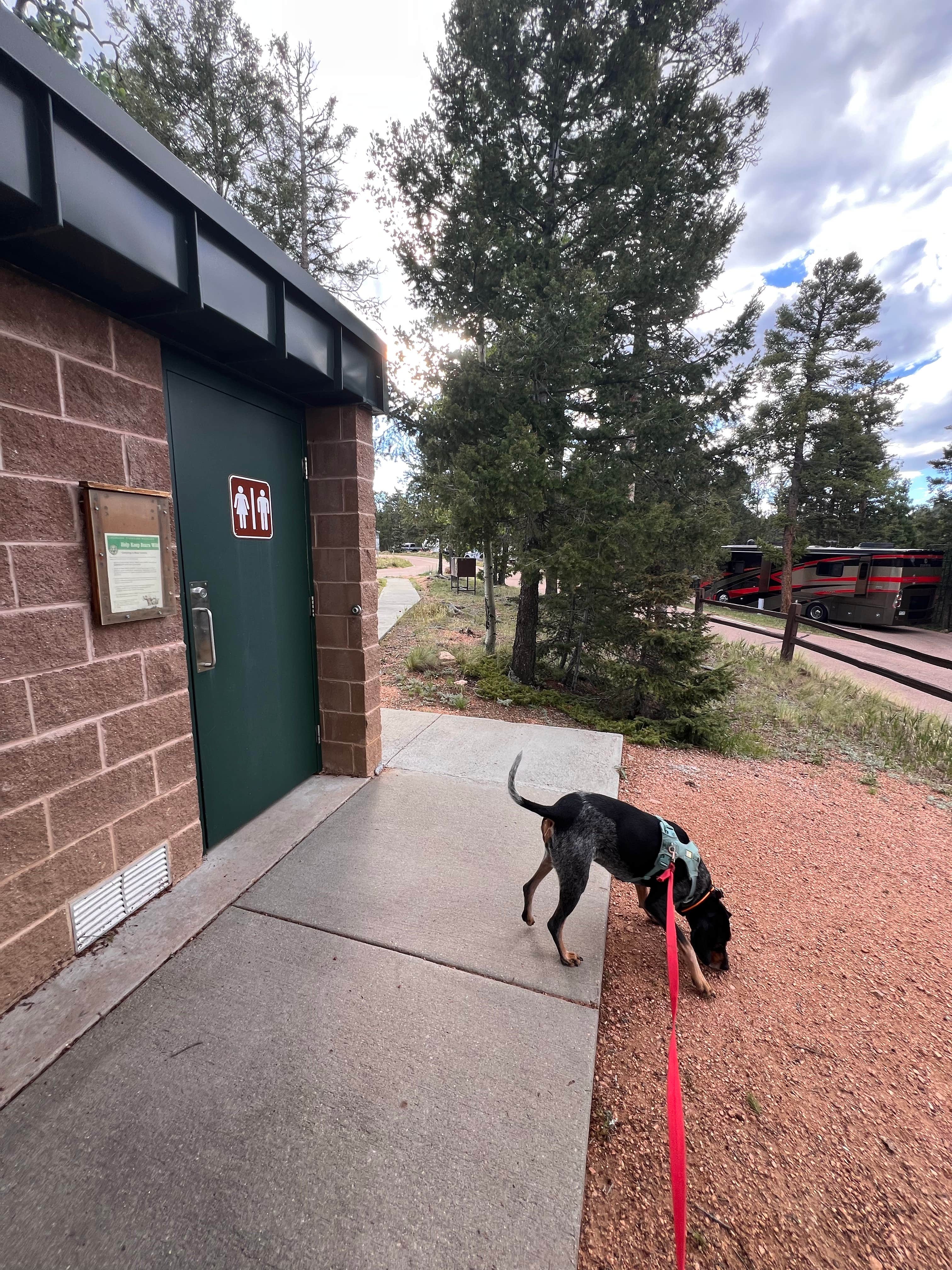 Gerard E.'s photo of camping with pets at Mueller State Park Campground near Pike and San Isabel National Forests and Cimarron and Comanche National Grasslands