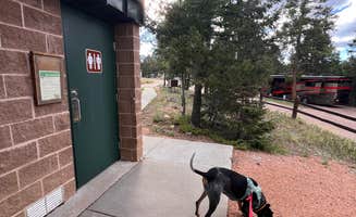 Gerard E.'s photo of camping with pets at Mueller State Park Campground near Woodland Park, CO