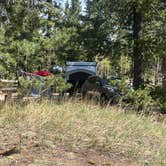 Review photo of Mueller State Park Campground by Carli W., July 15, 2026