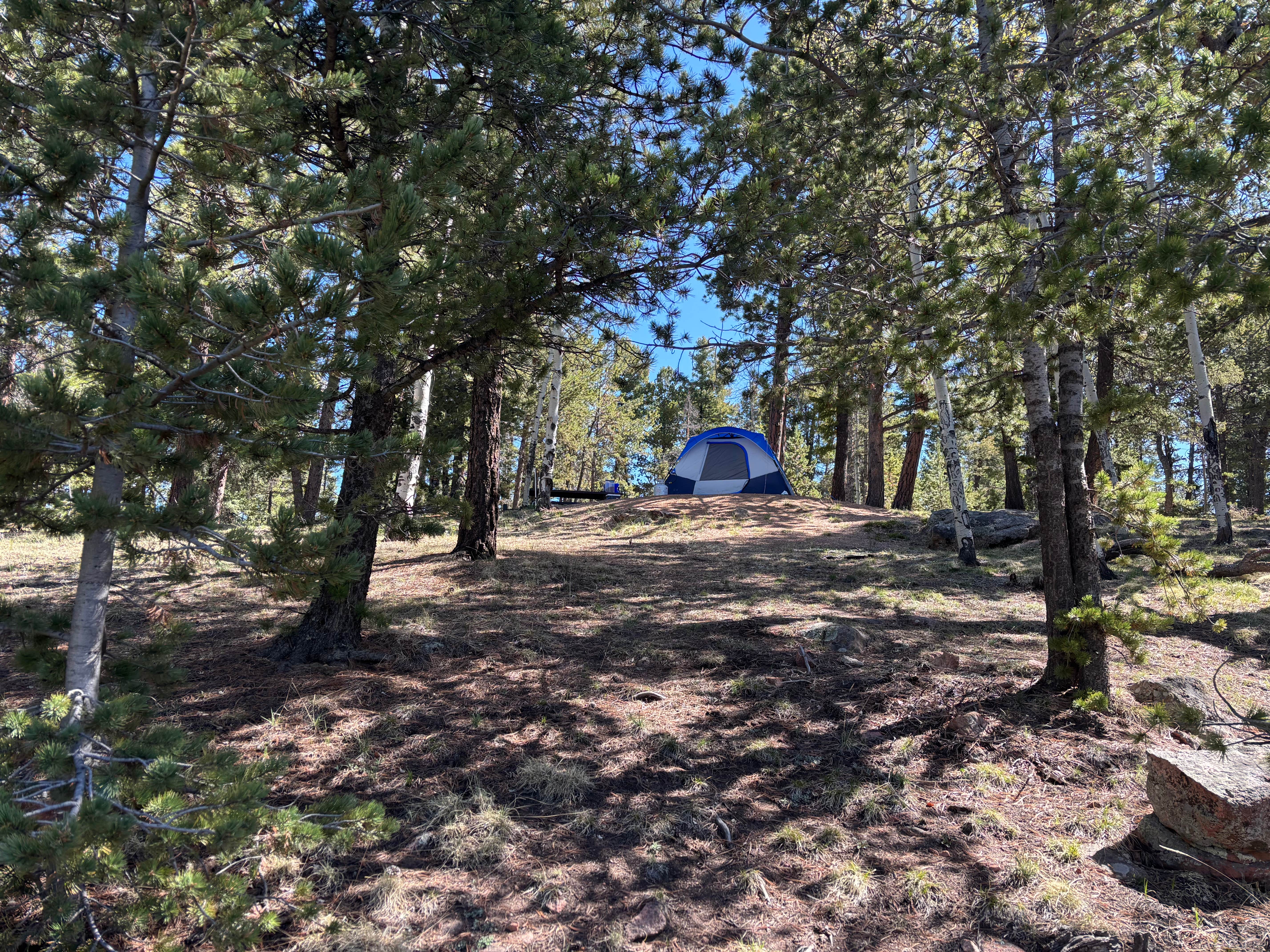 Bruce K.'s photo at Mueller State Park Campground near Midland, CO