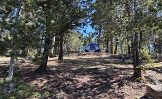Bruce K.'s photo at Mueller State Park Campground near Midland, CO