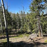 Review photo of Mueller State Park Campground by Bruce K., May 20, 2025