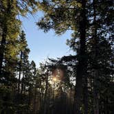Review photo of Mueller State Park Campground by steve , July 30, 2026