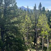 Review photo of Mueller State Park Campground by Carli W., July 15, 2026