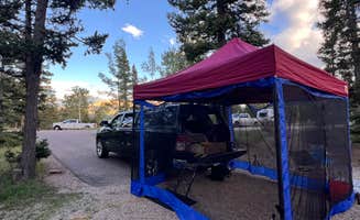 Gerard E.'s photo at Mueller State Park Campground near Midland, CO