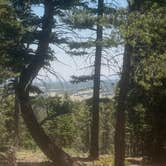 Review photo of Mueller State Park Campground by Danette S., July 20, 2026