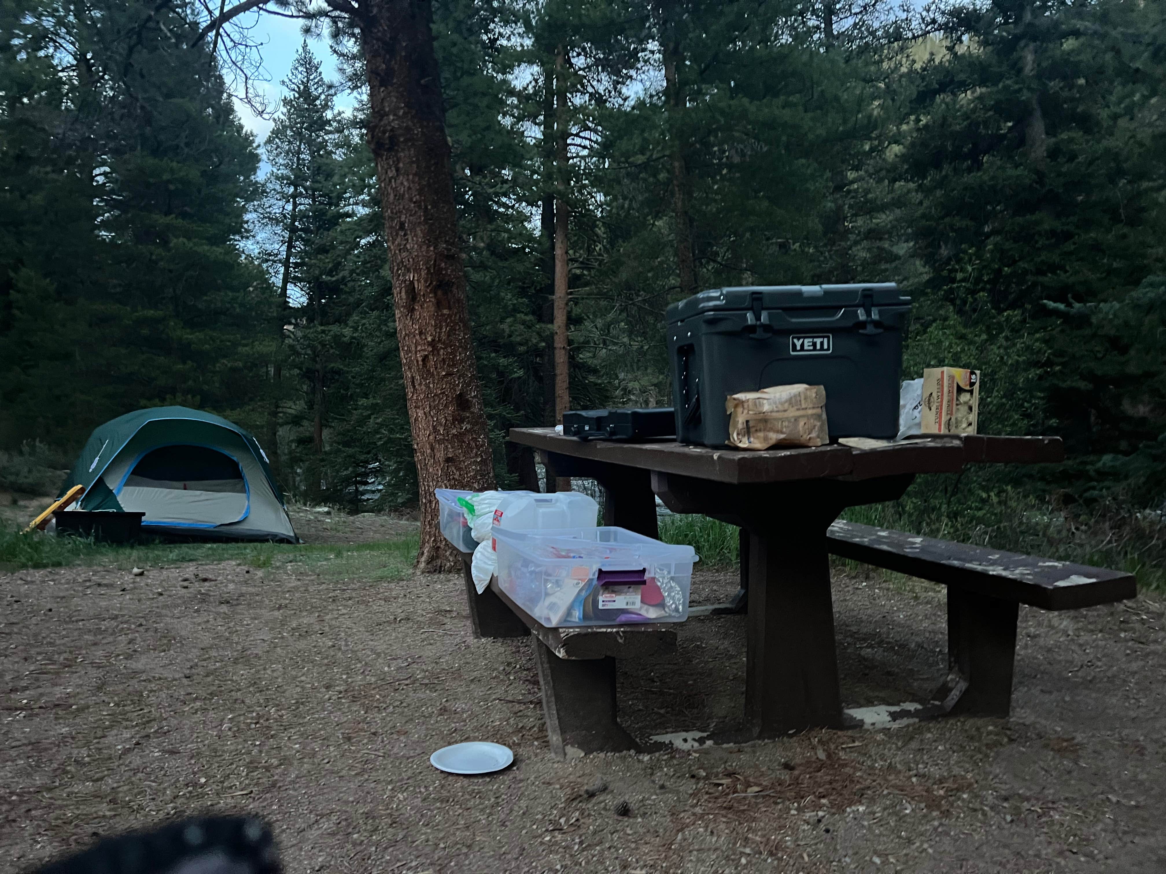Camper-submitted photo at North Bank Campground near Almont, CO