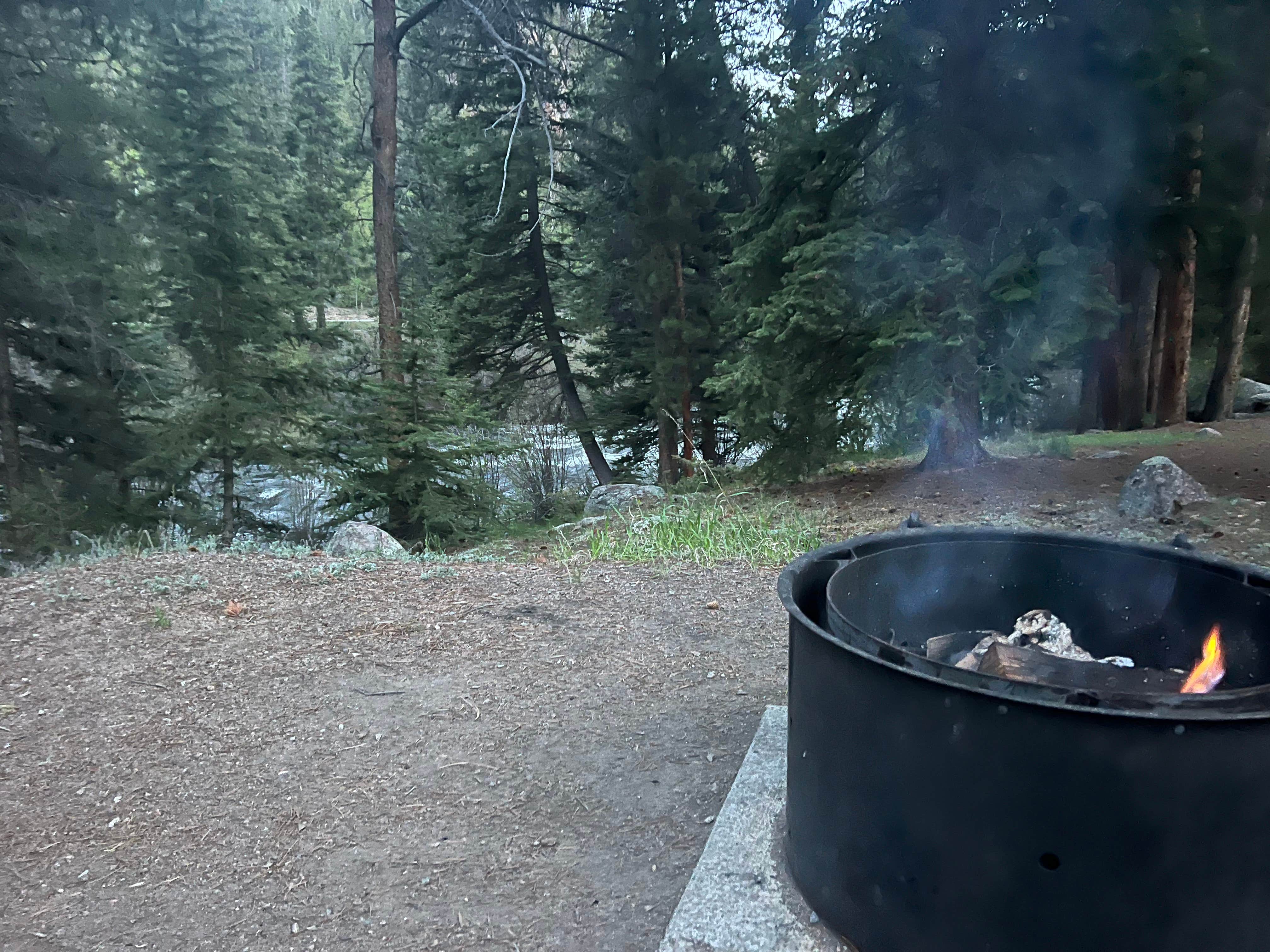Camper-submitted photo at North Bank Campground near Almont, CO