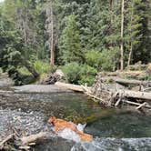 Review photo of Oh Be Joyful Recreation Area by Vanessa C., July 21, 2025