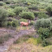 Review photo of Oh Be Joyful Recreation Area by Brian E., July 31, 2025