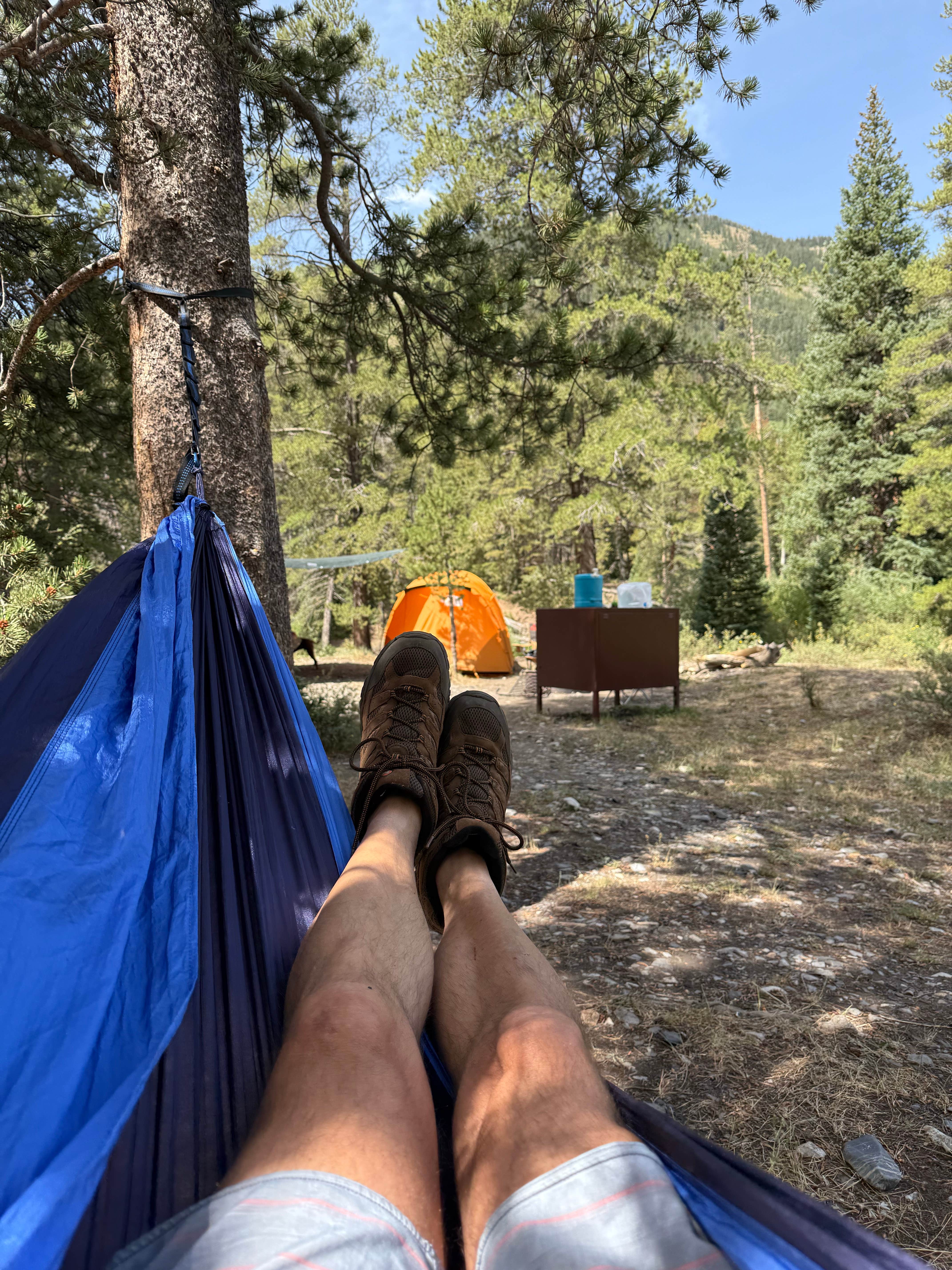 Brian E.'s photo at Oh Be Joyful Campground near Crested Butte, CO