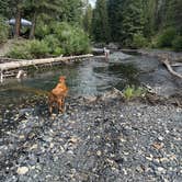 Review photo of Oh Be Joyful Recreation Area by Vanessa C., July 21, 2025