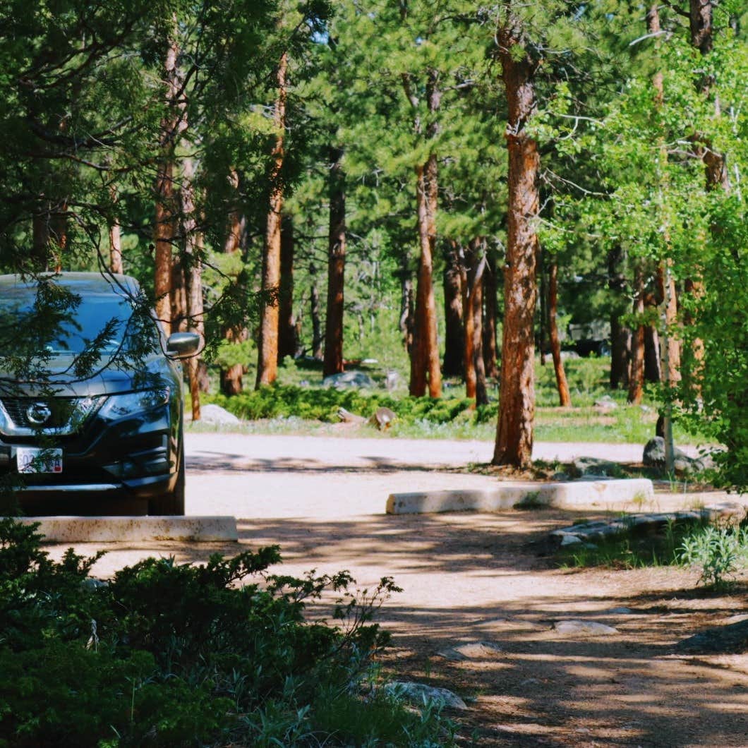 Olive Ridge Camping | Allenspark, Colorado