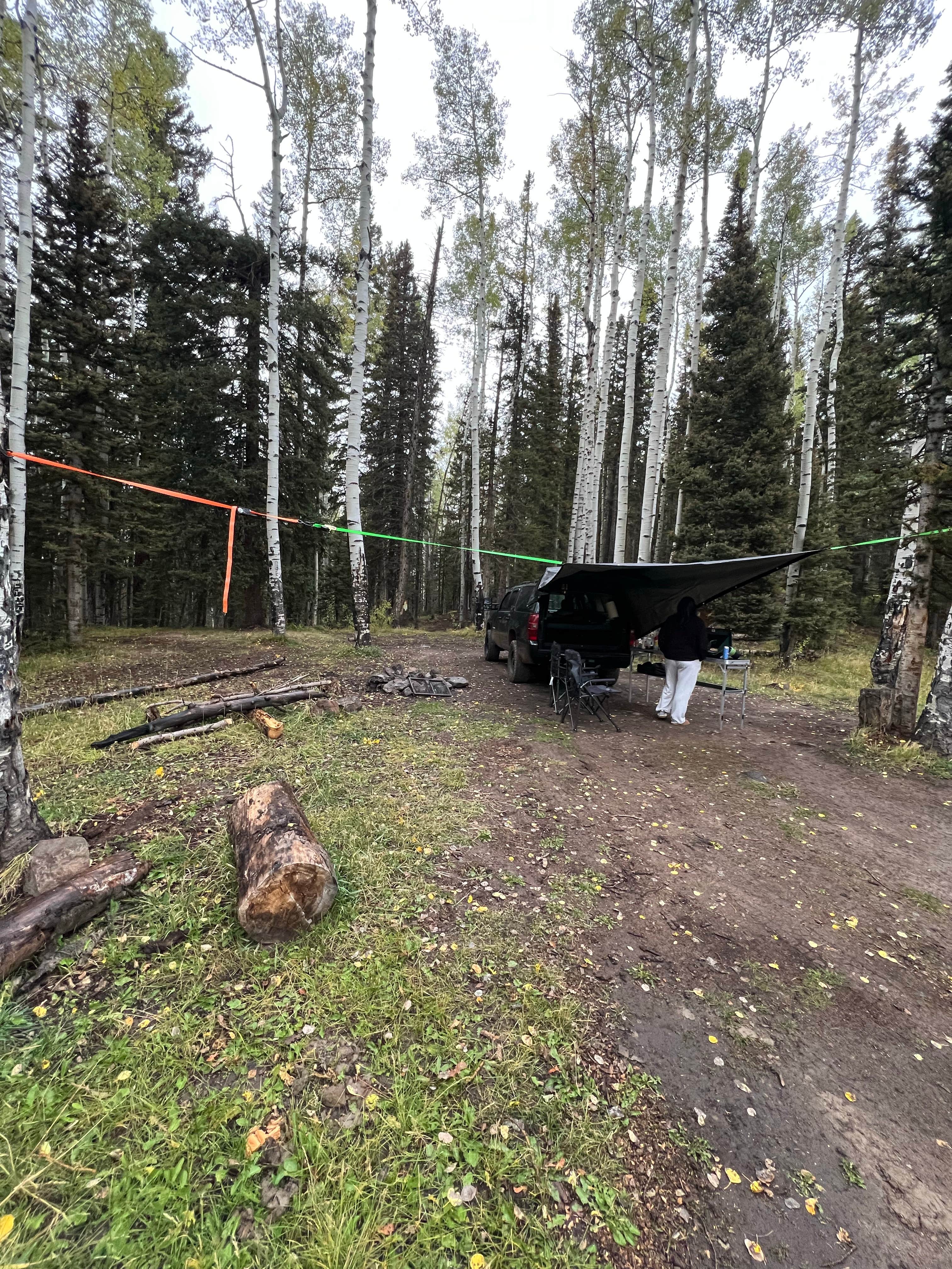 Camping near Big Cimarron: Owl Creek Pass, Ridgway, Colorado