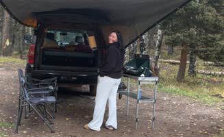 robert P.'s photo of a dispersed camping area at Owl Creek Pass near Ridgway, CO