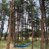 Review photo of Painted Rocks by Tyler W., July 8, 2024