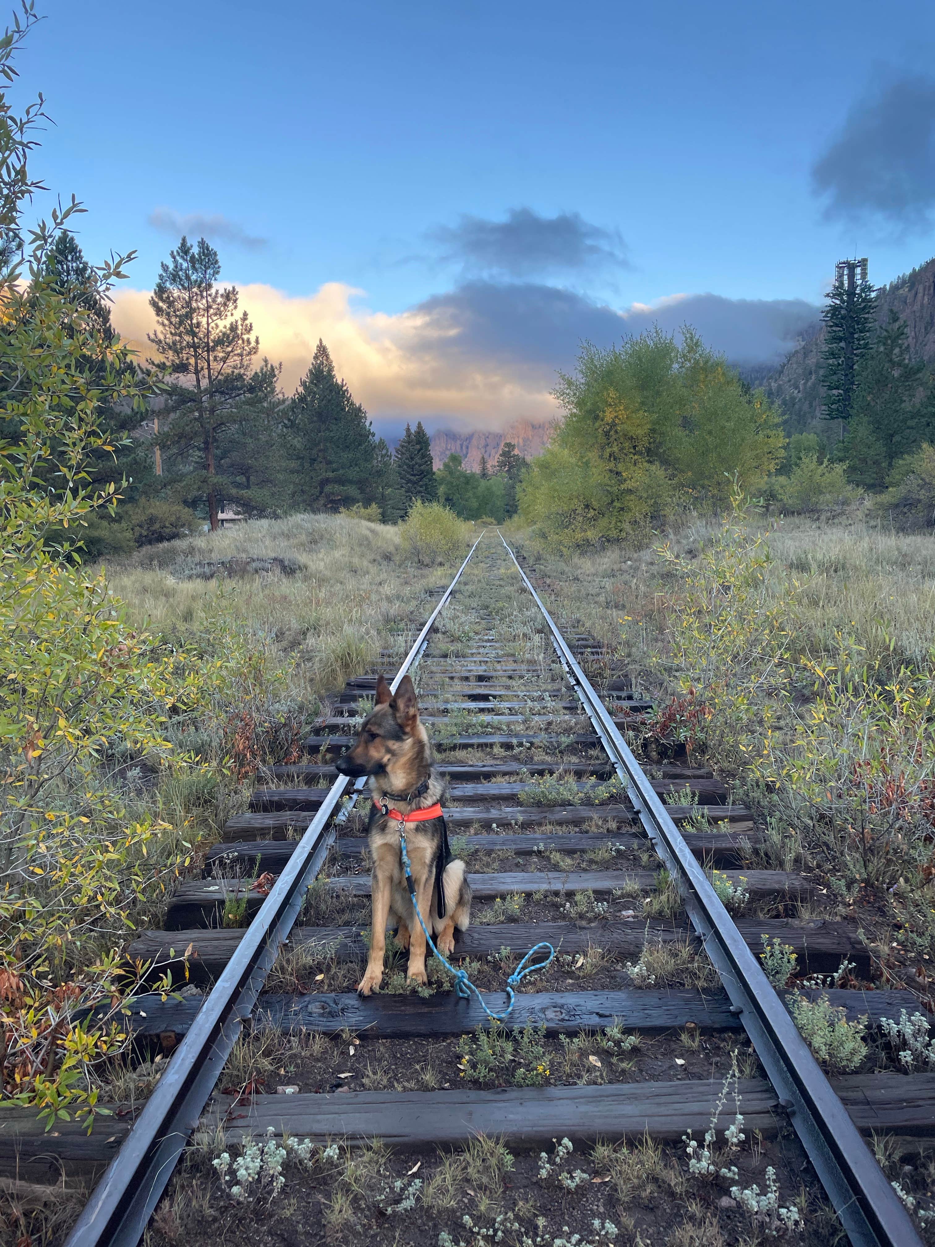 Camping near Mountain Views RV Park: Palisade, Rio Grande National Forest, Colorado
