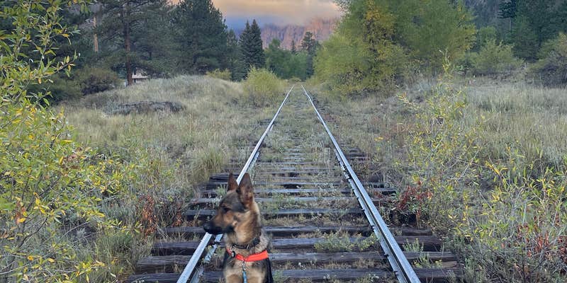 Camper submitted image from Palisade