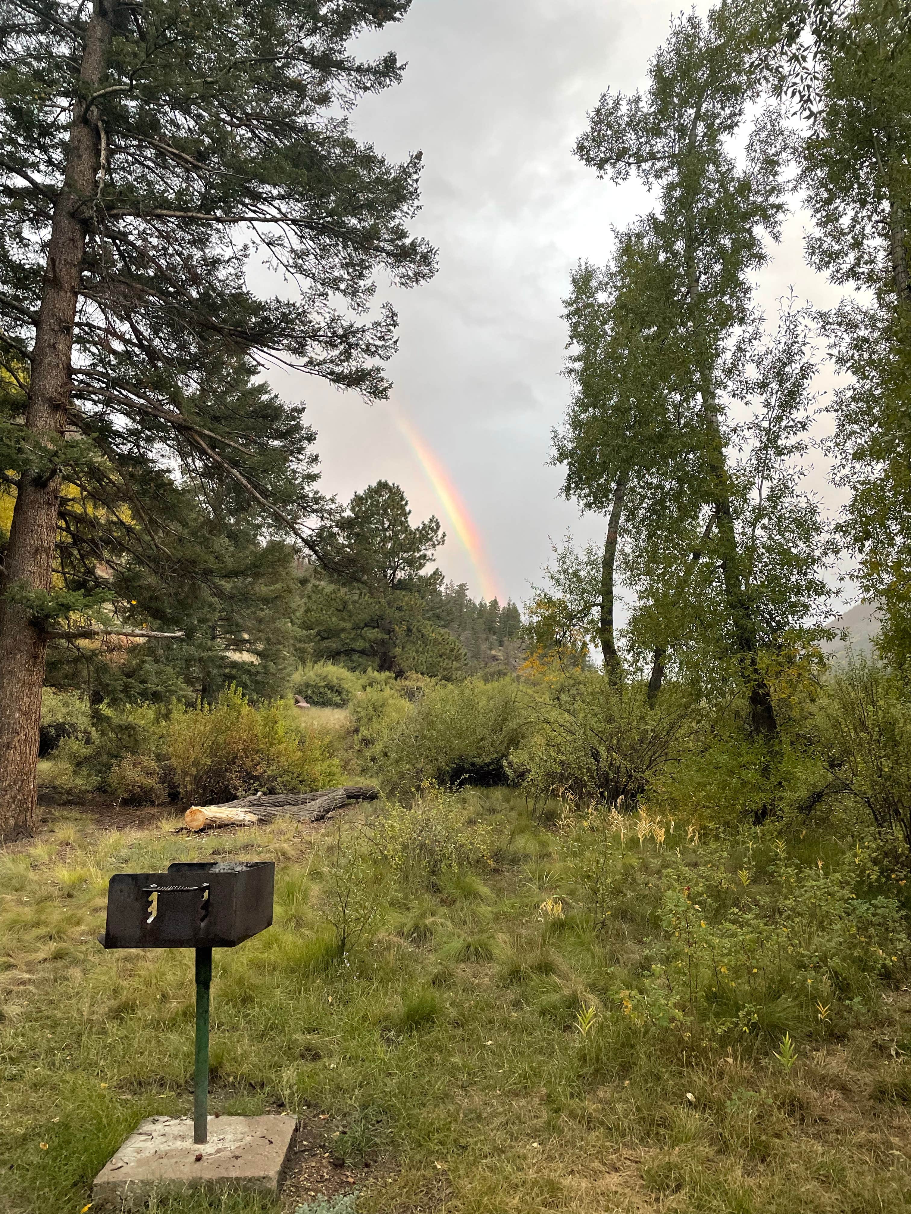 Camper-submitted photo at Palisade near Rio Grande National Forest