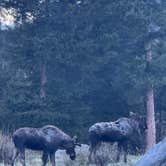 Review photo of Peaceful Valley by Samantha S., May 19, 2025