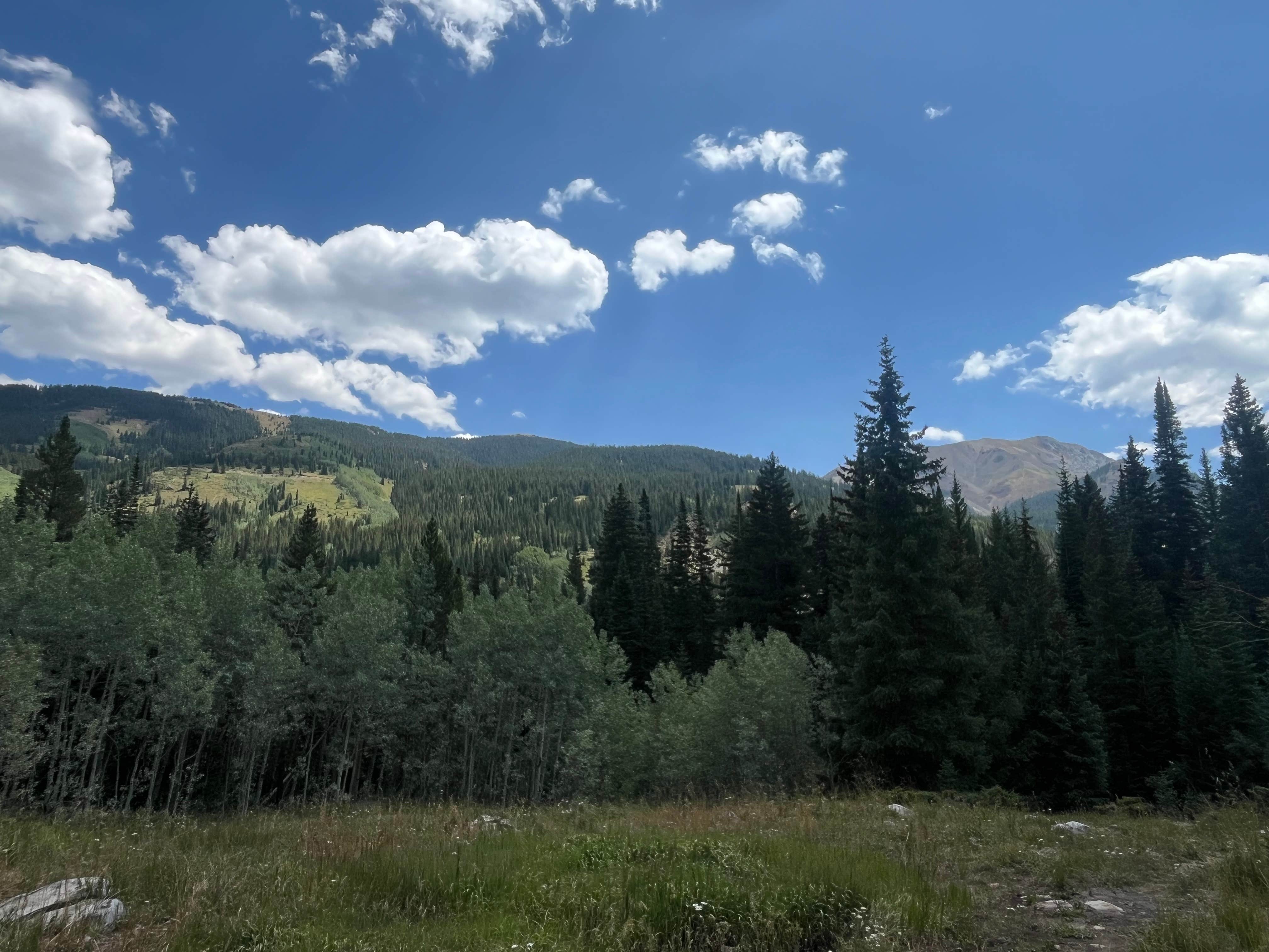 Camper-submitted photo at Pearl Pass Dispersed Camping near Snowmass Village, CO