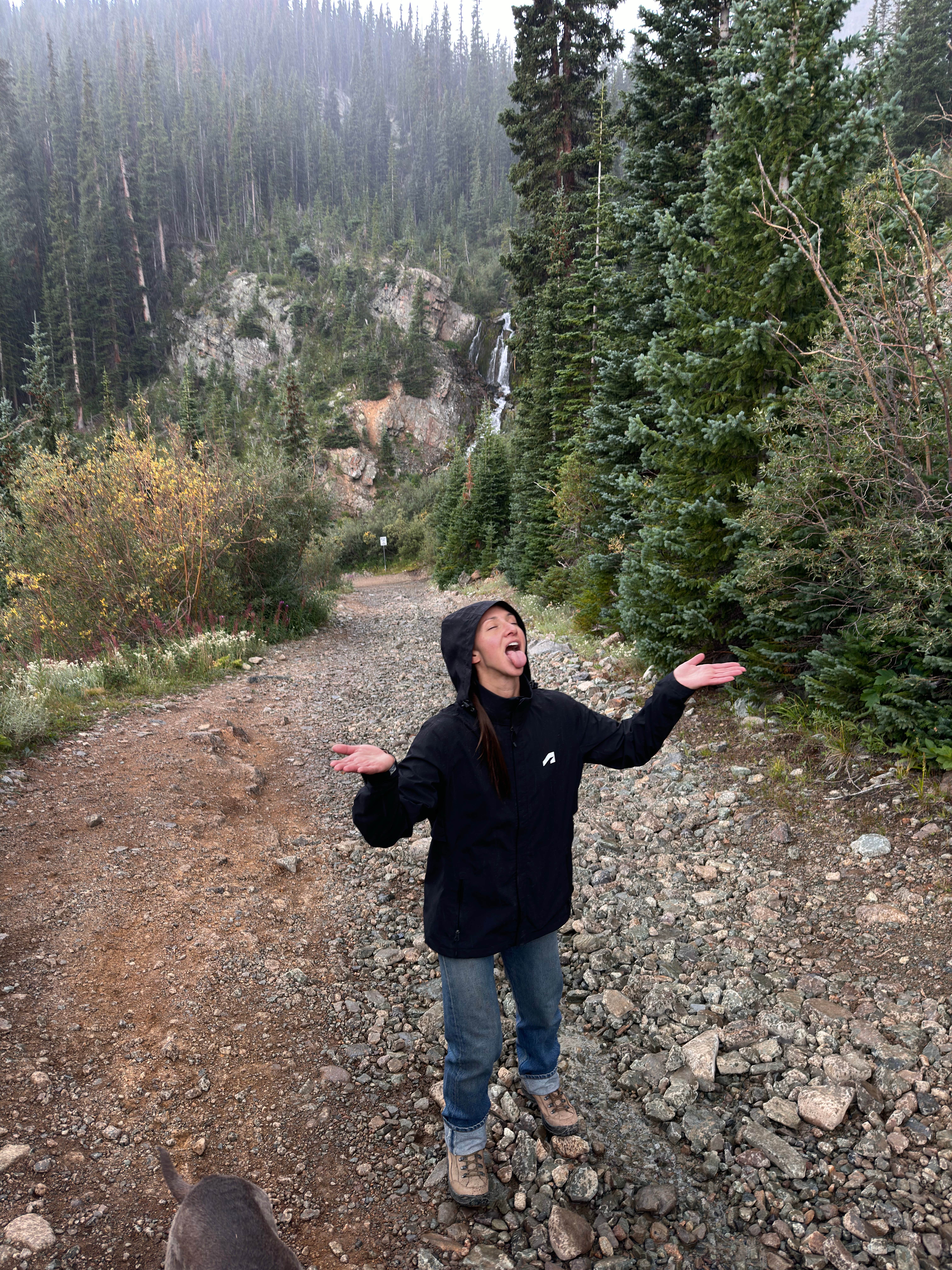 Chad R.'s photo of camping with pets at Pearl Pass Dispersed Camping near Woody Creek, CO