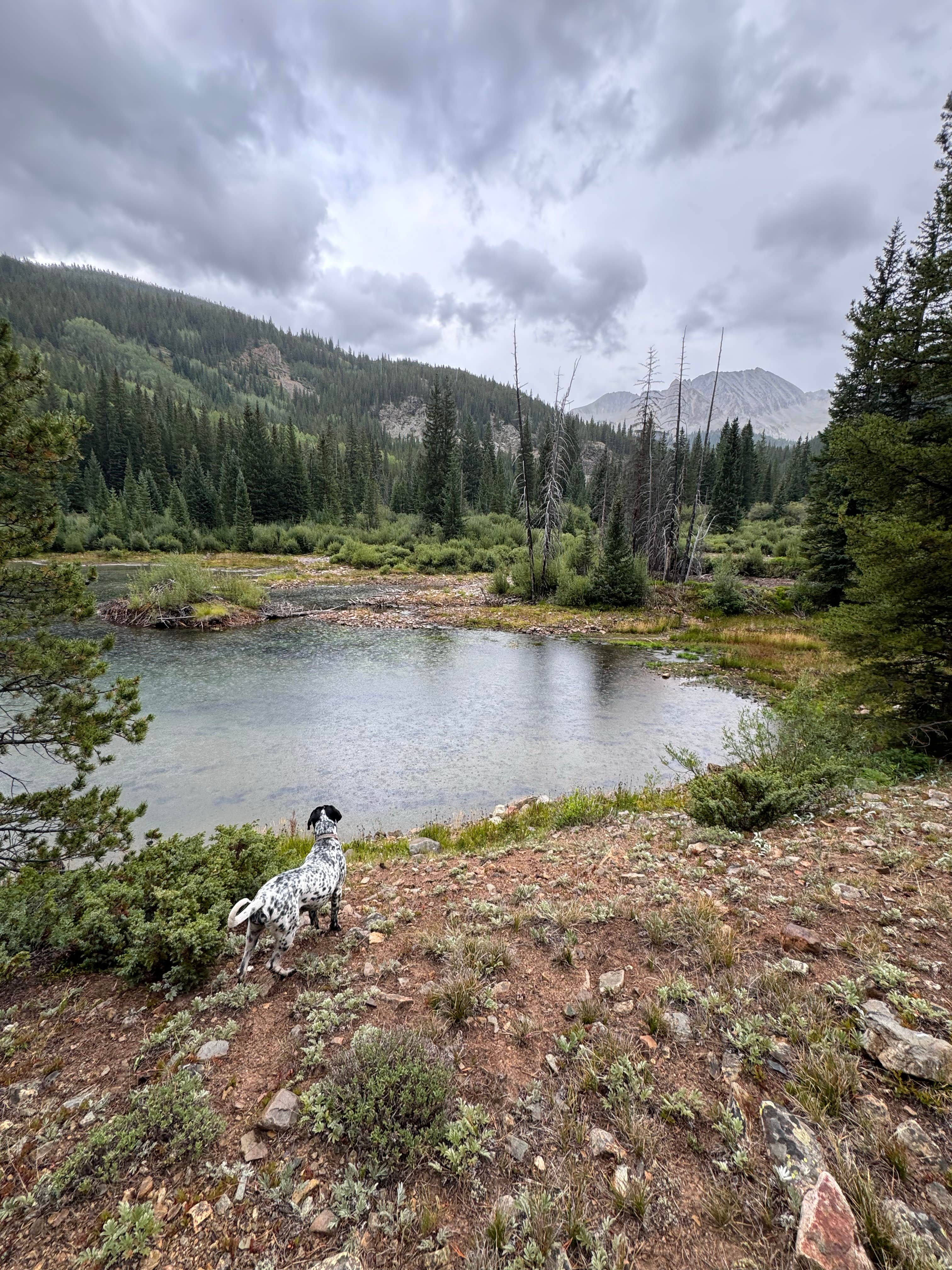 Chad R.'s photo of a dispersed camping area at Pearl Pass Dispersed Camping near Woody Creek, CO