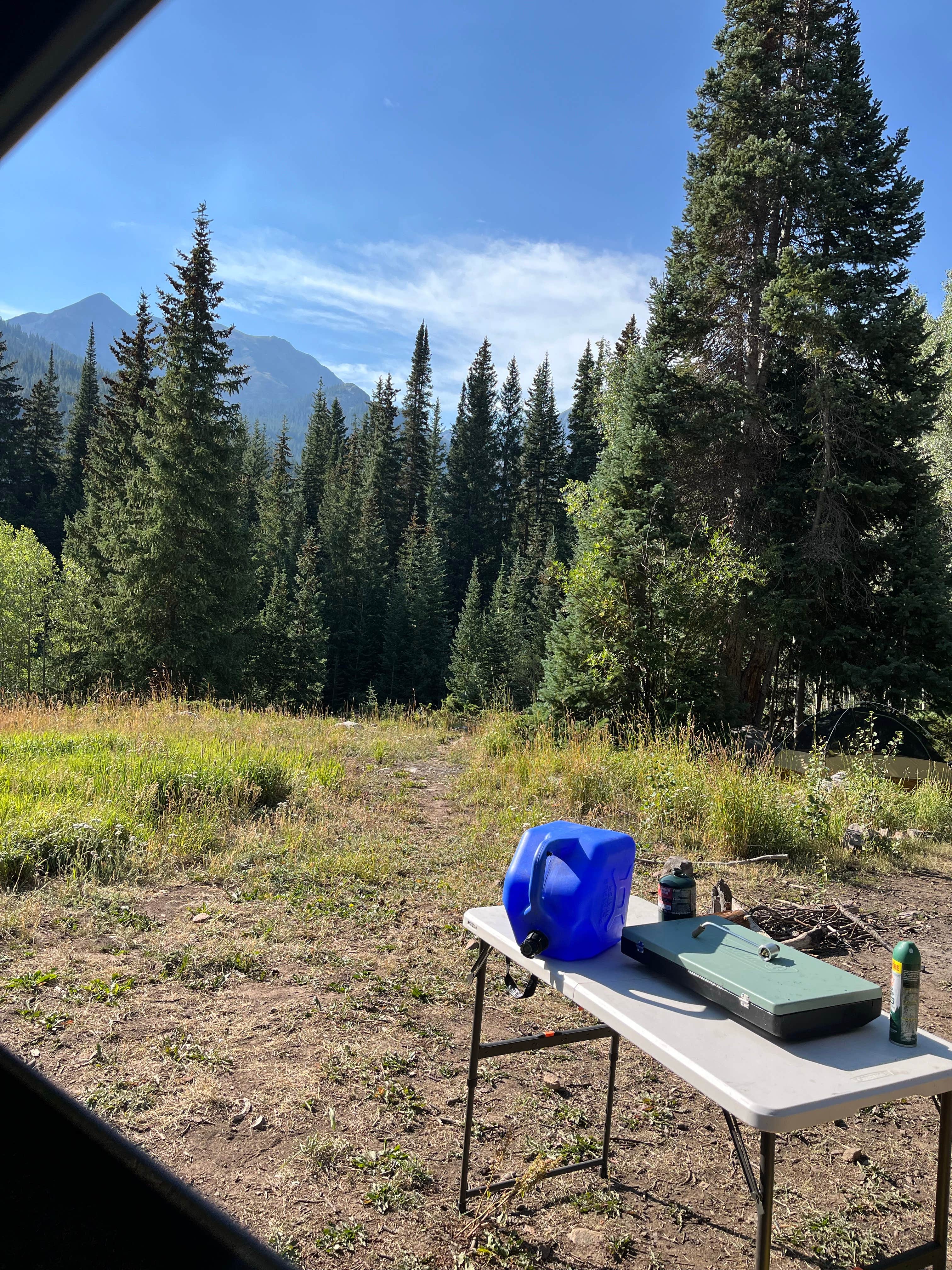 Camper submitted image from Pearl Pass Dispersed Camping - 5