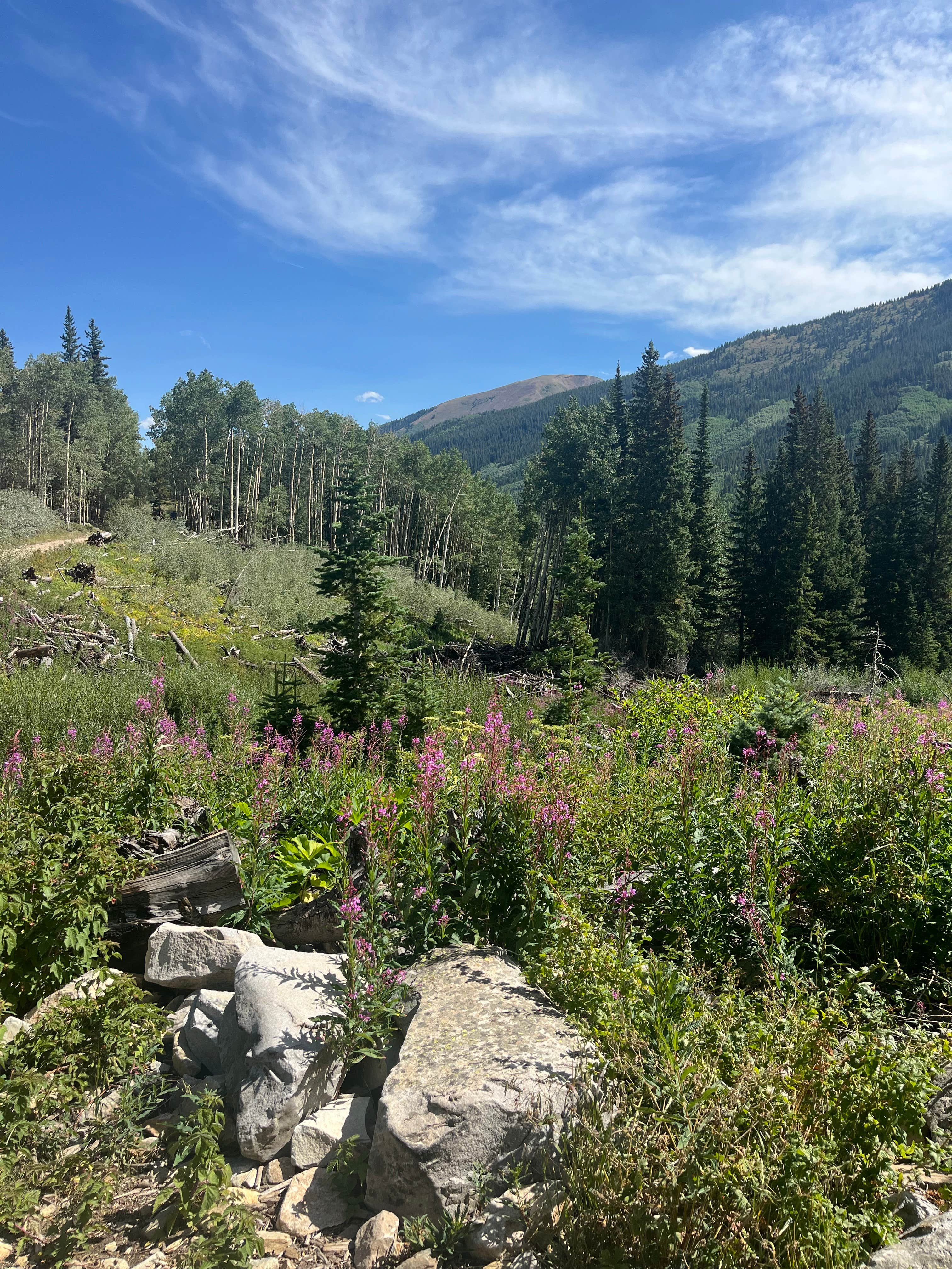 Camper-submitted photo at Pearl Pass Dispersed Camping near Snowmass Village, CO