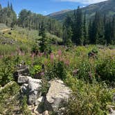 Review photo of Pearl Pass Dispersed Camping by Lilliana S., August 14, 2025