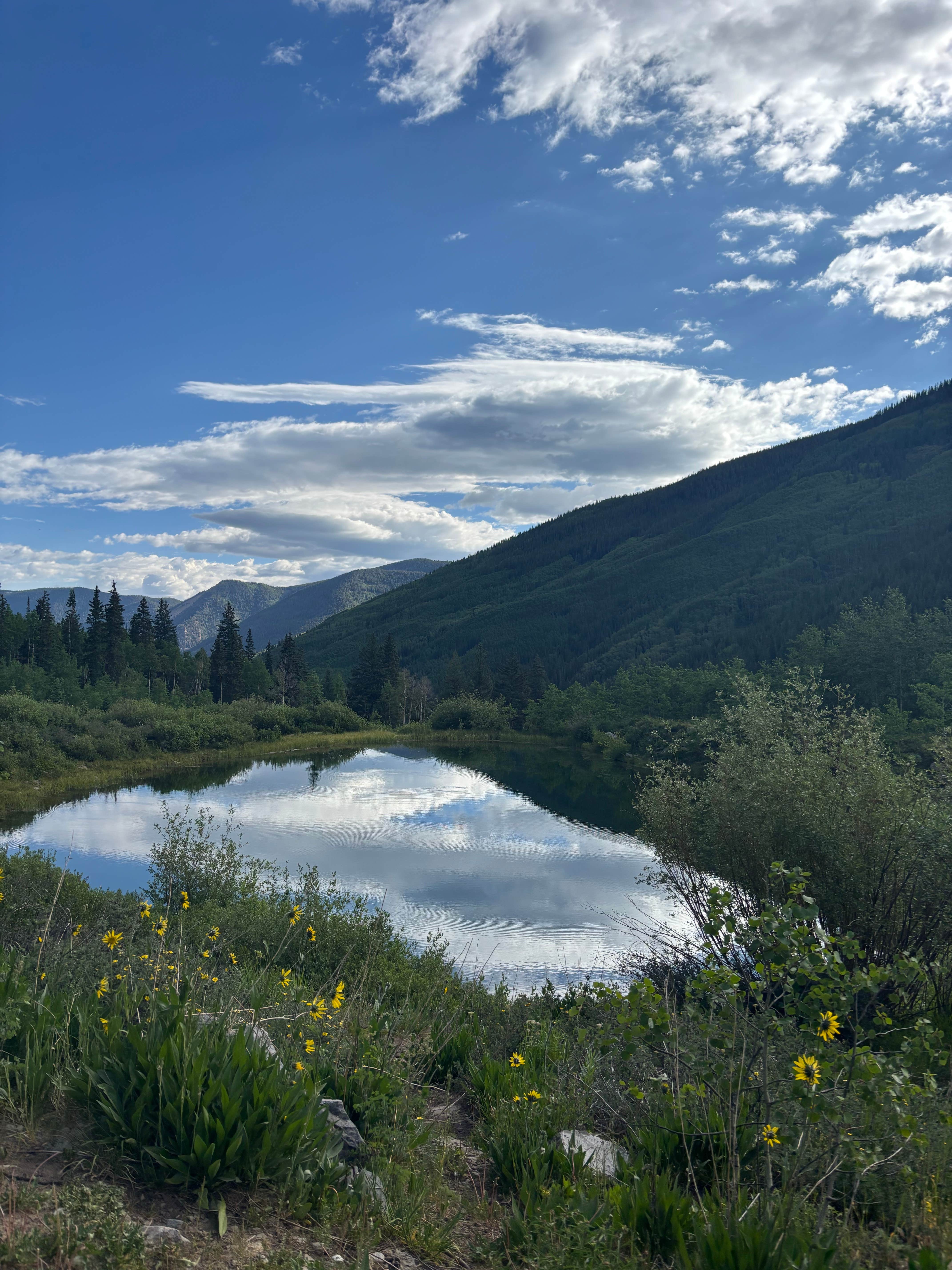 Emylee E.'s photo of a dispersed camping area at Pearl Pass Dispersed Camping near Snowmass Village, CO