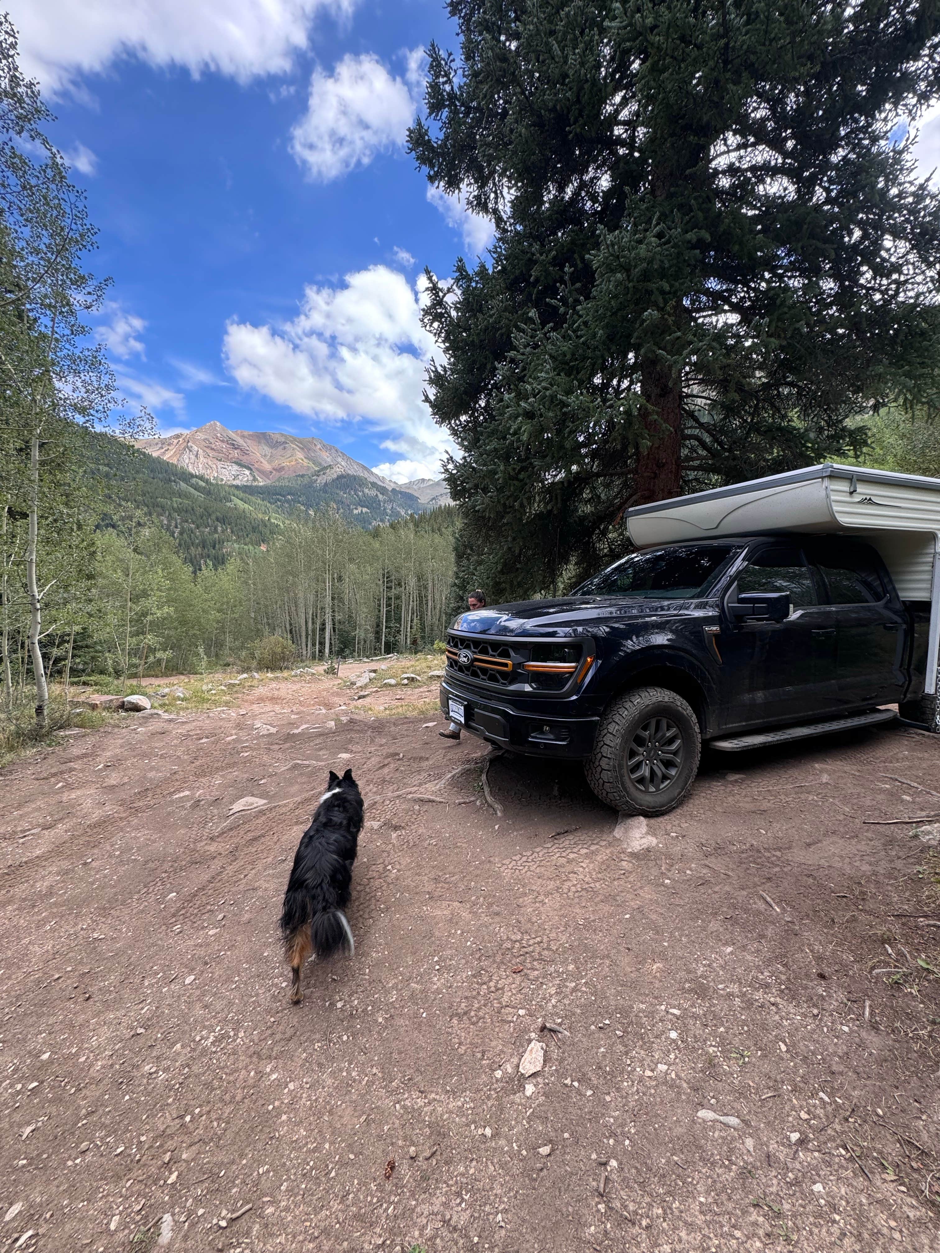 Chad R.'s photo of camping with pets at Pearl Pass Dispersed Camping near Aspen, CO