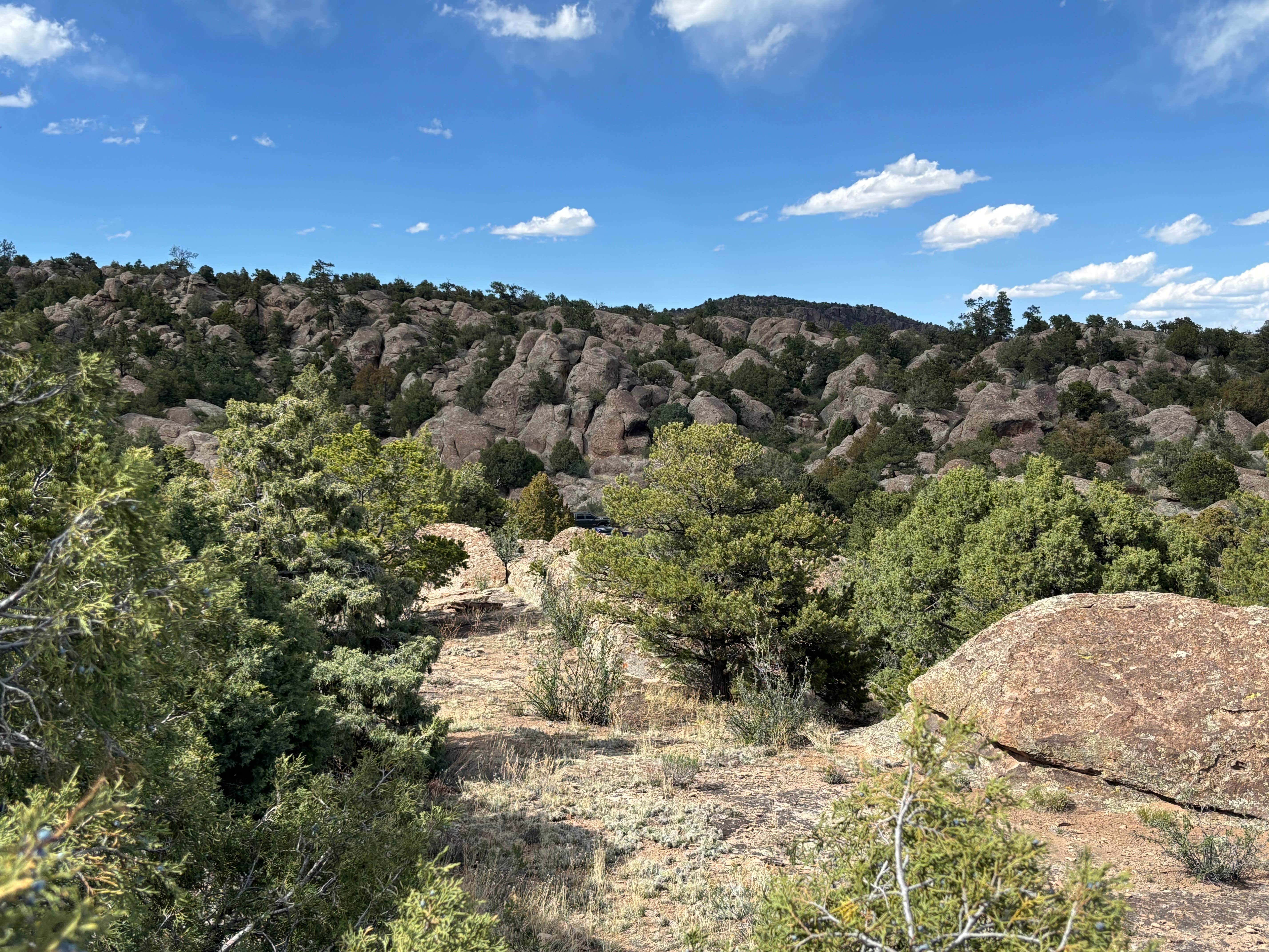 Camper submitted image from Penitente Canyon Campground - 4