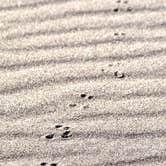 Review photo of Pinon Flats Campground — Great Sand Dunes National Park by Joel R., October 30, 2023